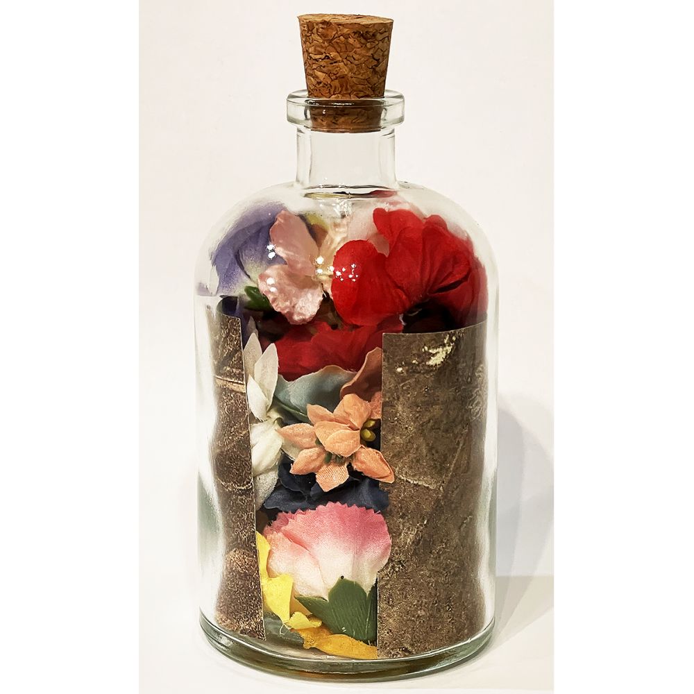 <br/>Atrisco Praetorian back, 10/9/2025<br/>Apx 6½" x 3" x 3"<br/>glass, paper, ink, cork, cloth and plastic